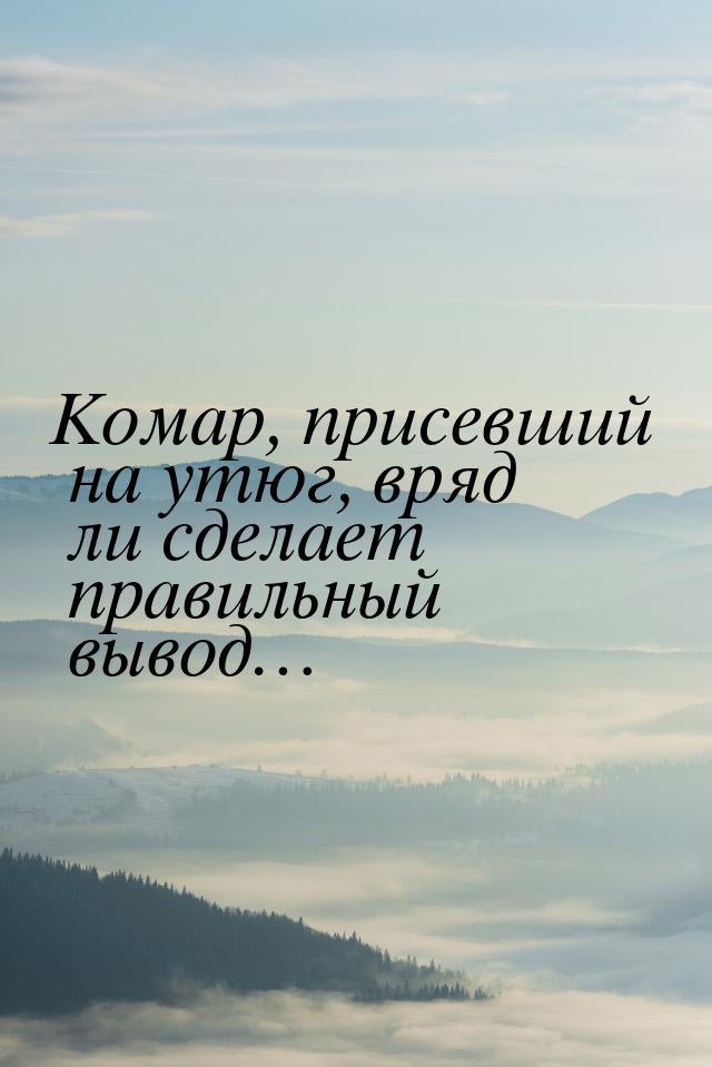 Комар, присевший на утюг, вряд ли сделает правильный вывод…