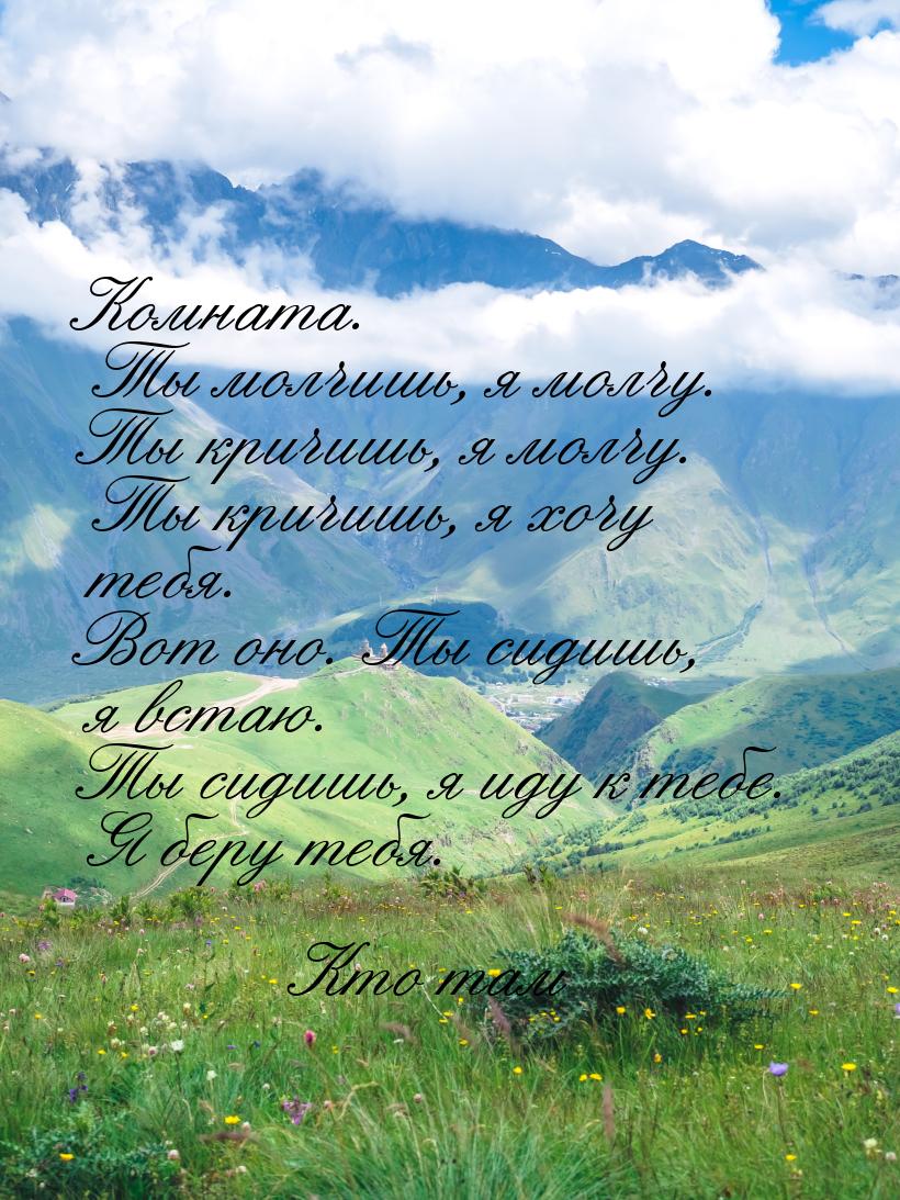 Комната. Ты молчишь, я молчу. Ты кричишь, я молчу. Ты кричишь, я хочу тебя. Вот оно. Ты си