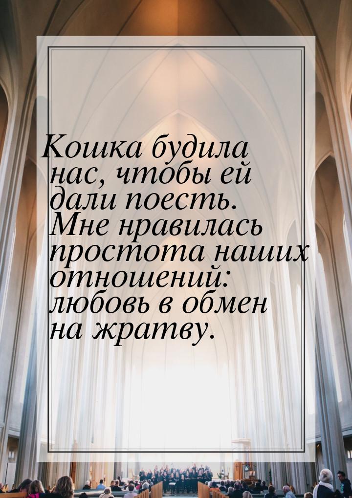 Кошка будила нас, чтобы ей дали поесть. Мне нравилась простота наших отношений: любовь в о