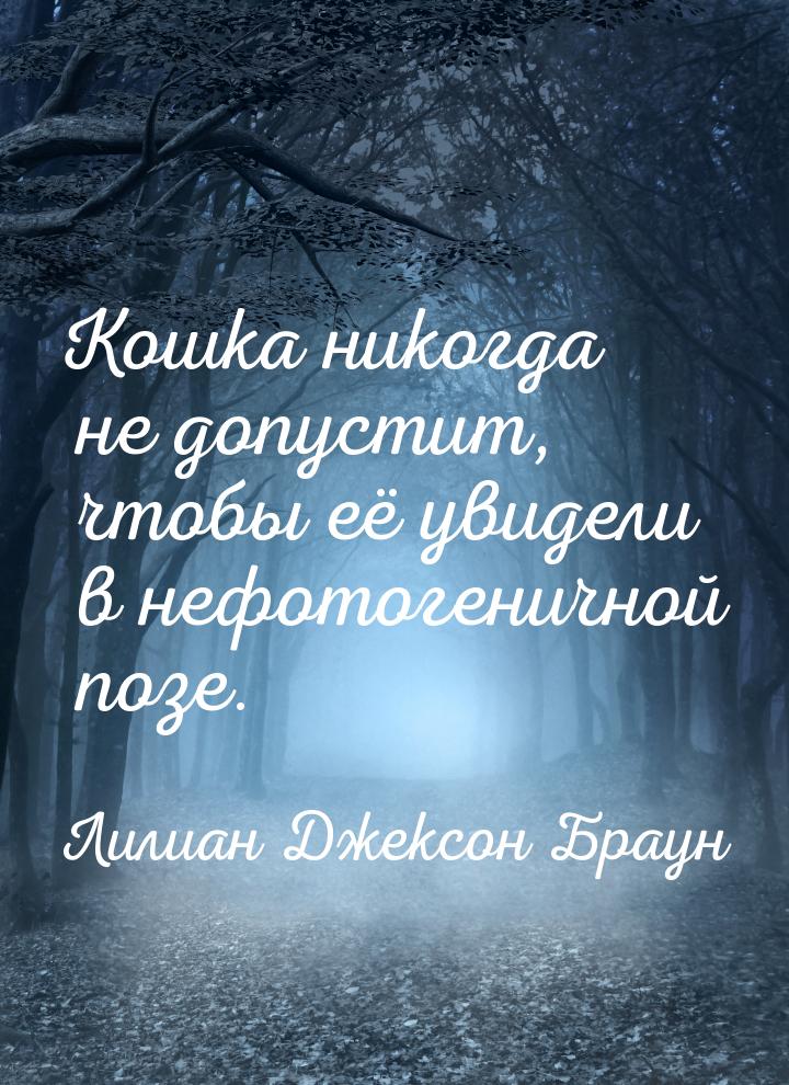 Кошка никогда не допустит, чтобы её увидели в нефотогеничной позе.