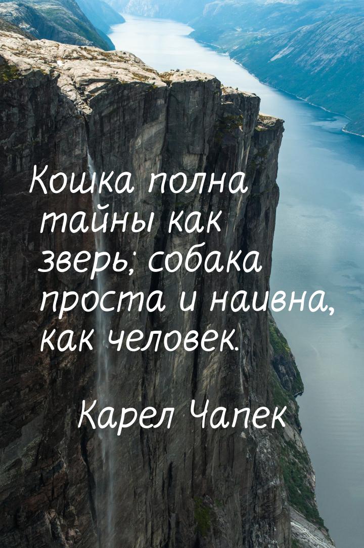 Кошка полна тайны как зверь; собака проста и наивна, как человек.