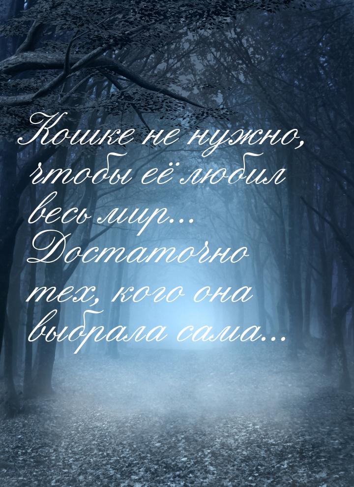 Кошке не нужно, чтобы её любил весь мир... Достаточно тех, кого она выбрала сама...