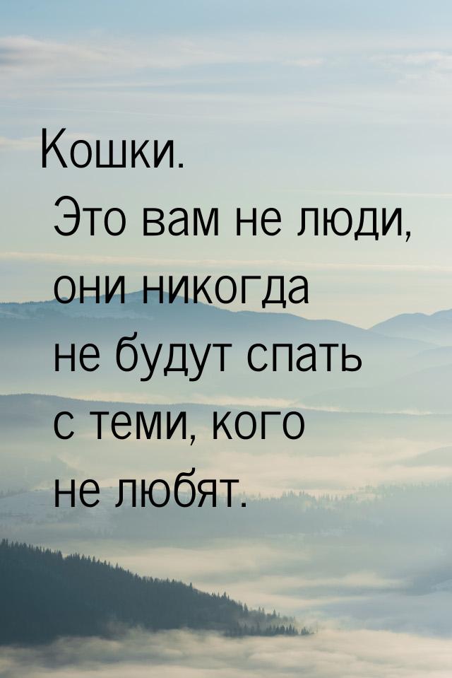 Кошки. Это вам не люди, они никогда не будут спать с теми, кого не любят.