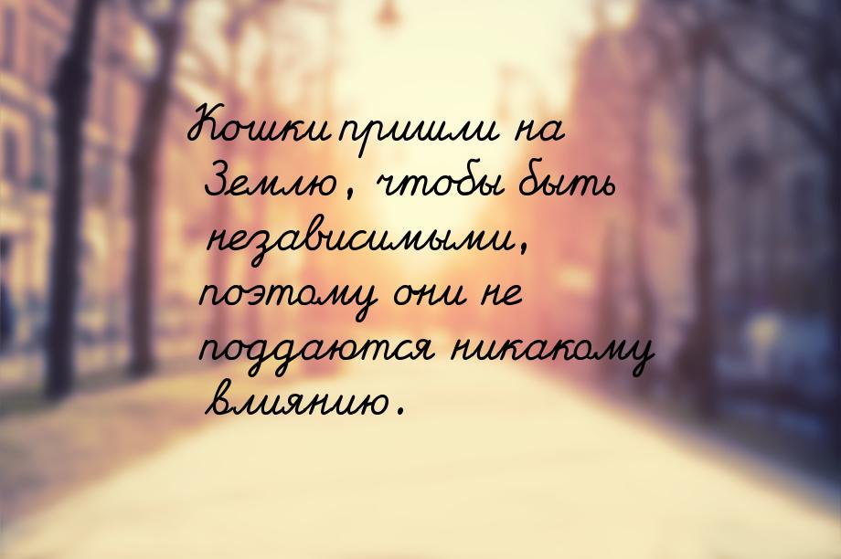 Кошки пришли на Землю, чтобы быть независимыми, поэтому они не поддаются никакому влиянию.