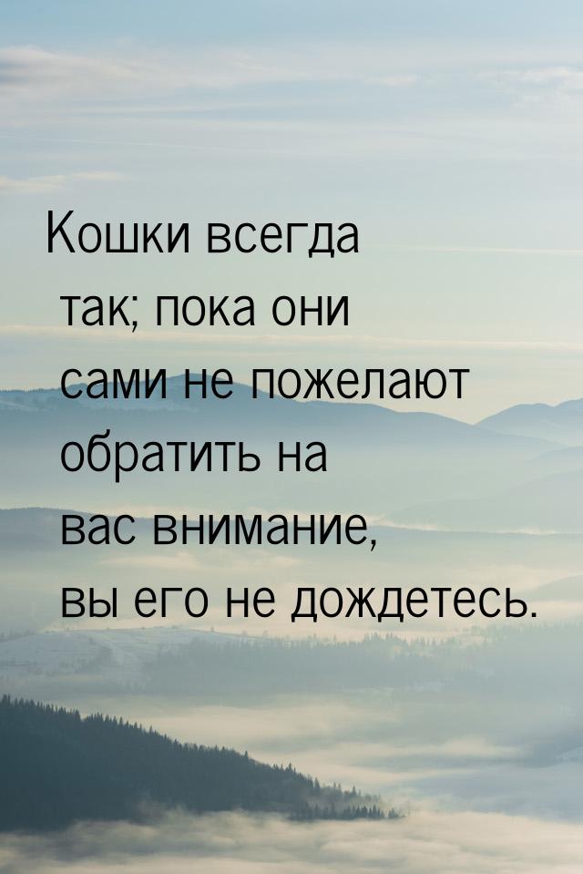 Кошки всегда так; пока они сами не пожелают обратить на вас внимание, вы его не дождетесь.