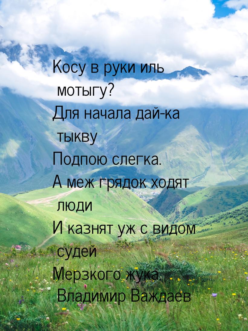 Косу в руки иль мотыгу? Для начала дай-ка тыкву Подпою слегка. А меж грядок ходят люди И к