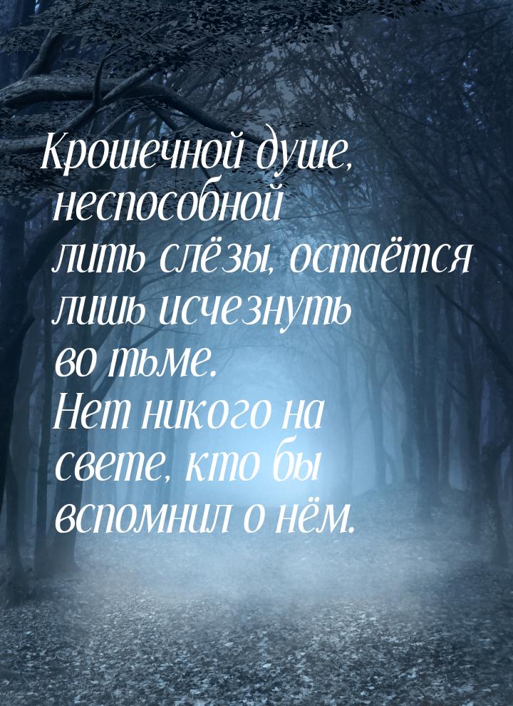 Крошечной душе, неспособной лить слёзы, остаётся лишь исчезнуть во тьме. Нет никого на све