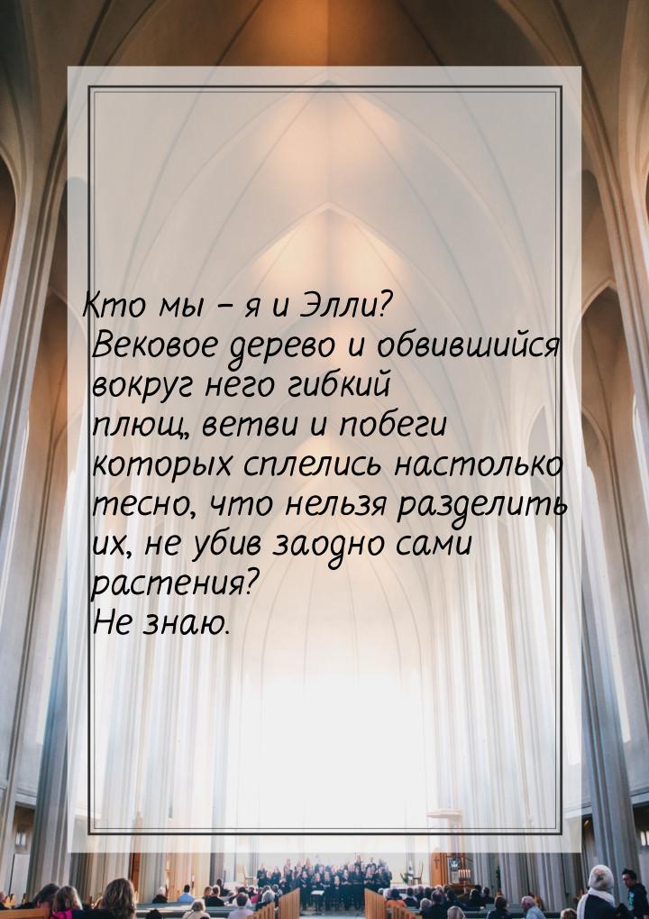 Кто мы – я и Элли? Вековое дерево и обвившийся вокруг него гибкий плющ, ветви и побеги кот