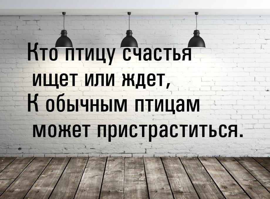 Кто птицу счастья ищет или ждет, К обычным птицам может пристраститься.