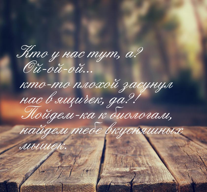 Кто у нас тут, а? Ой-ой-ой... кто-то плохой засунул нас в ящичек, да?! Пойдем-ка к биолога