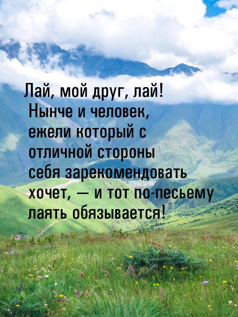 Лай, мой друг, лай! Нынче и человек, ежели который с отличной стороны себя зарекомендовать