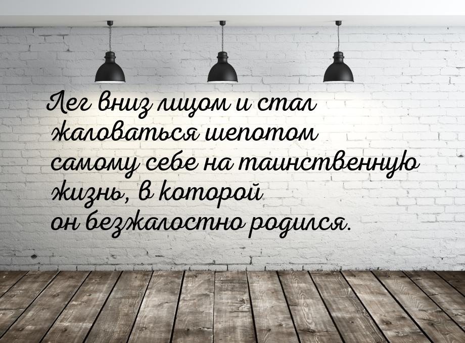 Лег вниз лицом и стал жаловаться шепотом самому себе на таинственную жизнь, в которой он б