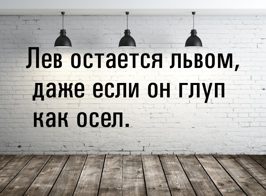 Лев остается львом, даже если он глуп как осел.