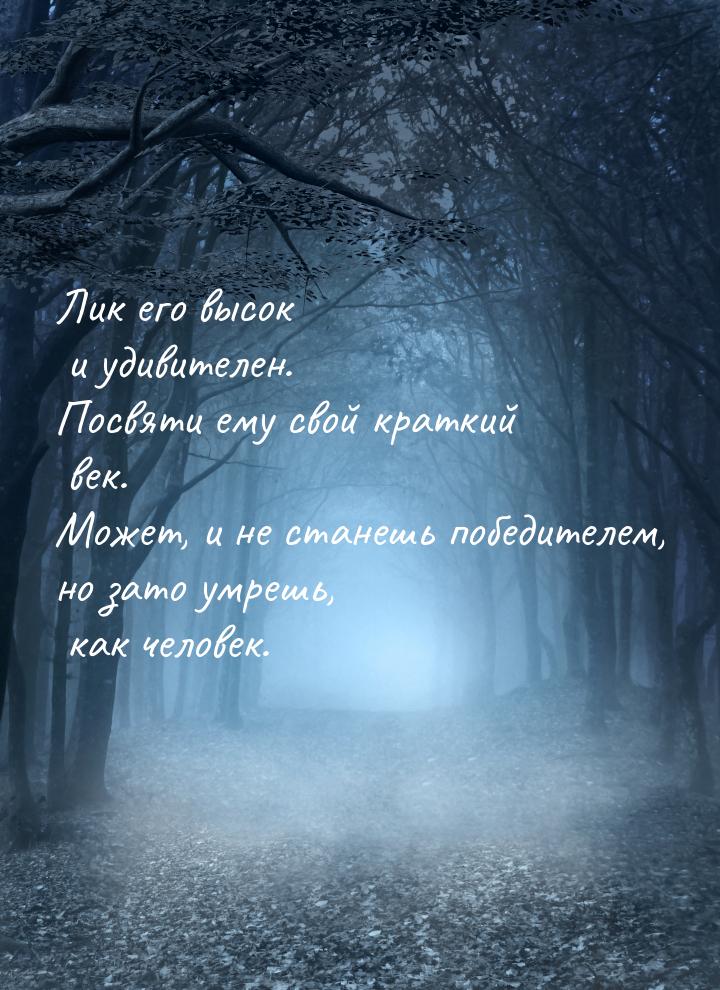 Лик его высок и удивителен. Посвяти ему свой краткий век. Может, и не станешь победителем,