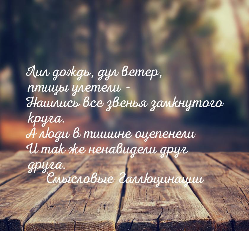 Лил дождь, дул ветер, птицы улетели - Нашлись все звенья замкнутого круга. А люди в тишине