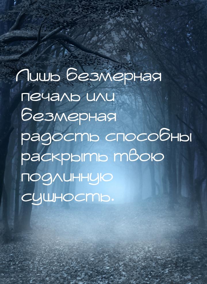 Лишь безмерная печаль или безмерная радость способны раскрыть твою подлинную сущность.