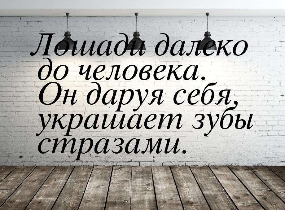 Лошади далеко до человека. Он даруя себя, украшает зубы стразами.