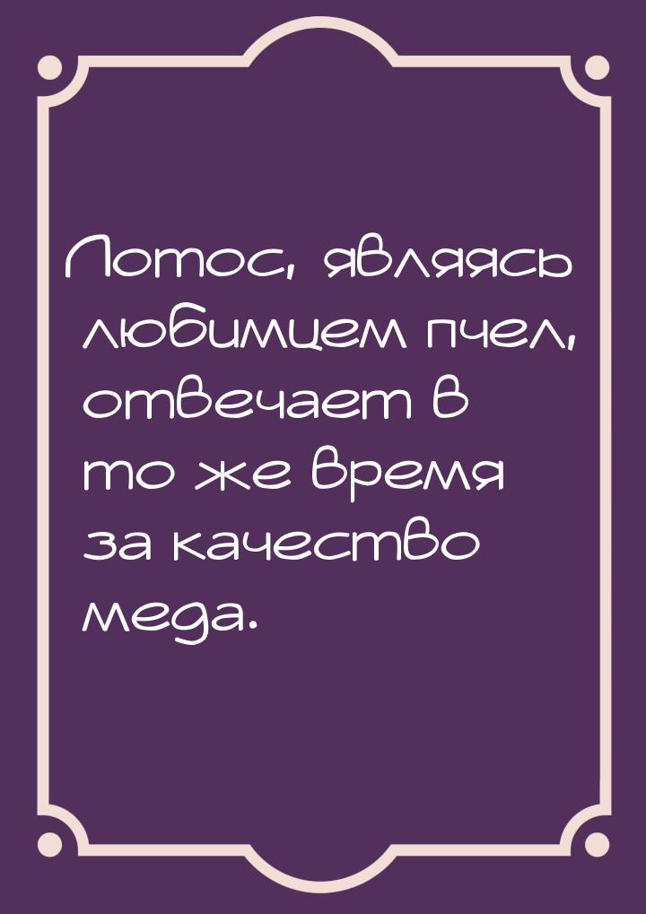 Лотос, являясь любимцем пчел, отвечает в то же время за качество меда.