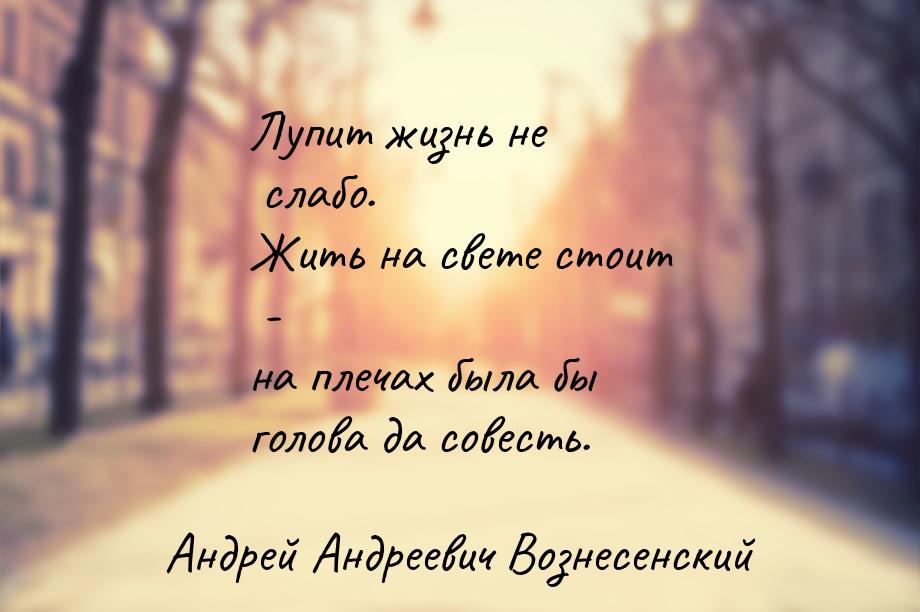 Лупит жизнь не слабо. Жить на свете стоит - на плечах была бы голова да совесть.