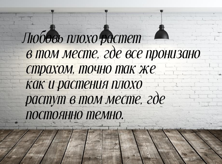 Любовь плохо растет в том месте, где все пронизано страхом, точно так же как и растения пл