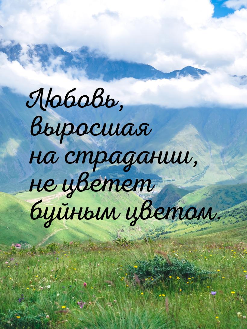 Любовь, выросшая на страдании, не цветет буйным цветом.