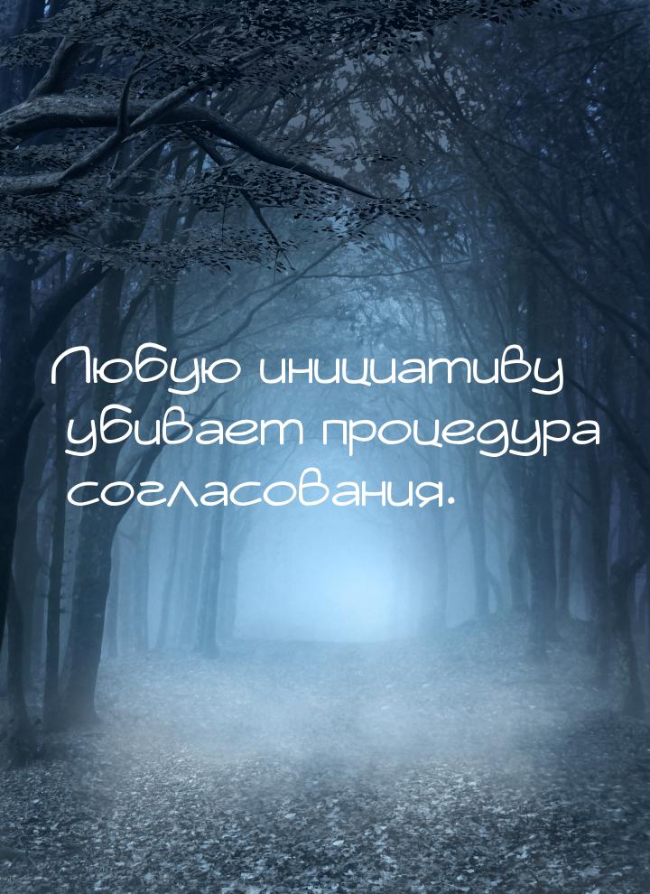 Любую инициативу убивает процедура согласования.