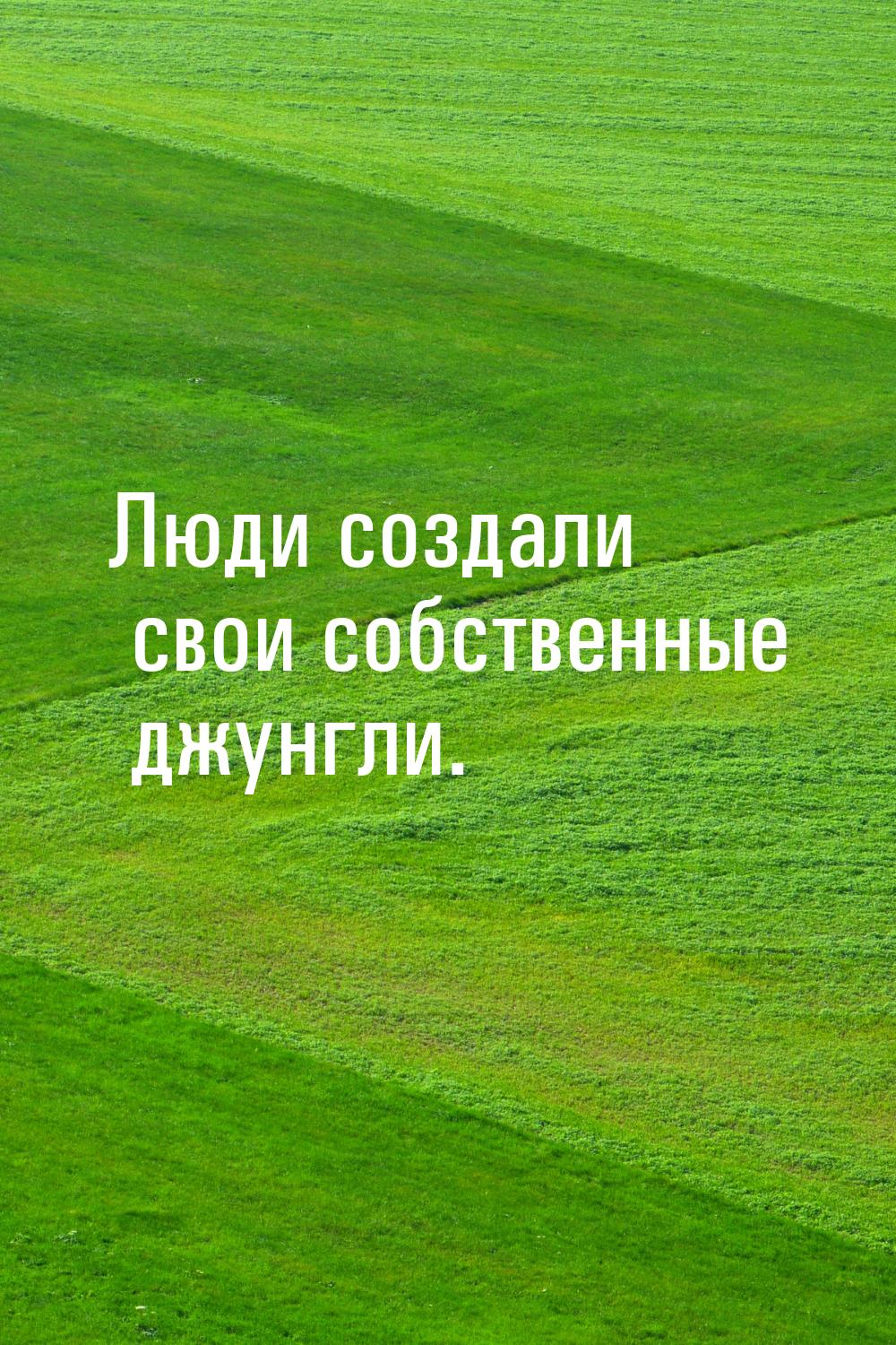 Люди создали свои собственные джунгли.