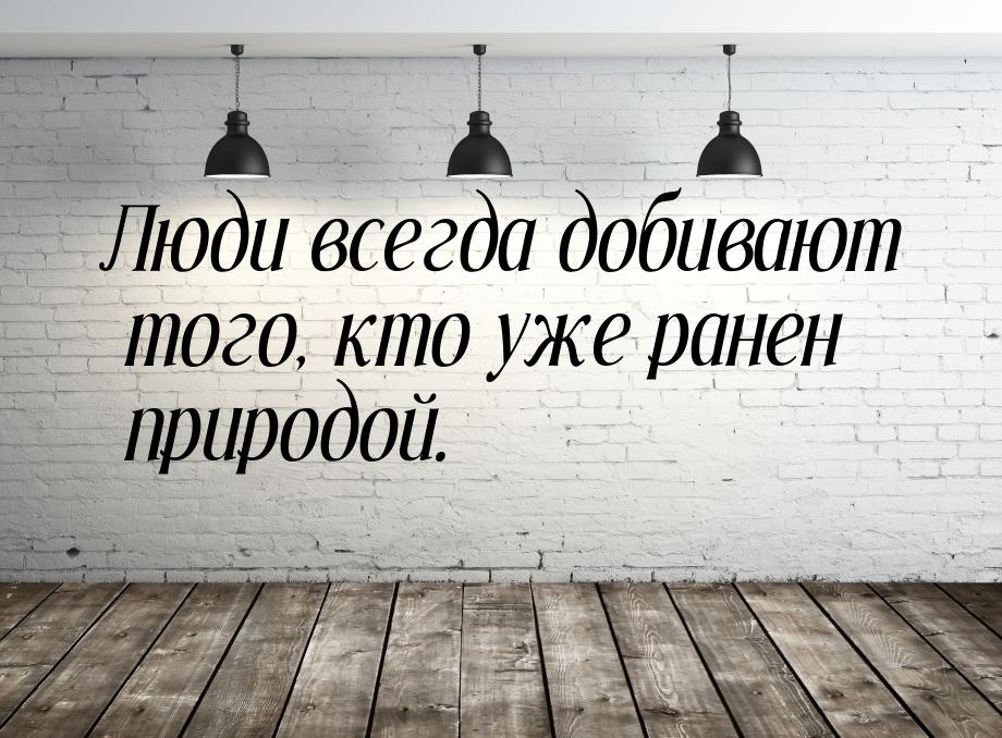 Люди всегда добивают того, кто уже ранен природой.