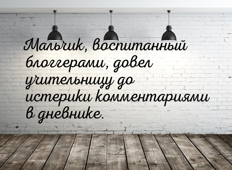 Мальчик, воспитанный блоггерами, довел учительницу до истерики комментариями в дневнике.