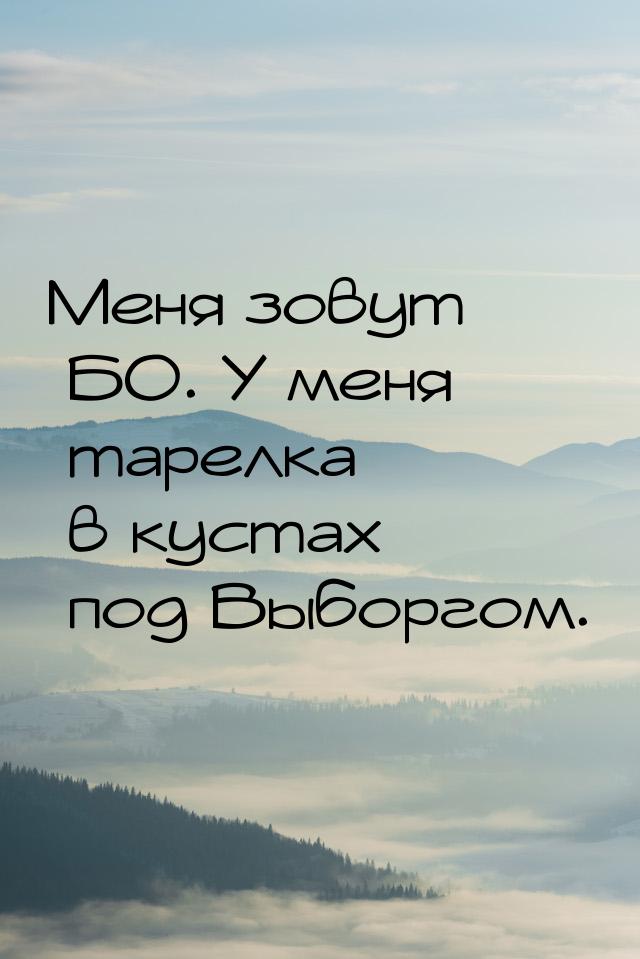 Меня зовут БО. У меня тарелка в кустах под Выборгом.