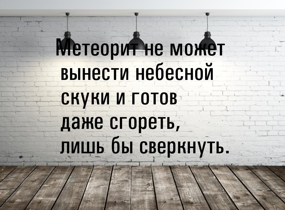 Метеорит не может вынести небесной скуки и готов даже сгореть, лишь бы сверкнуть.