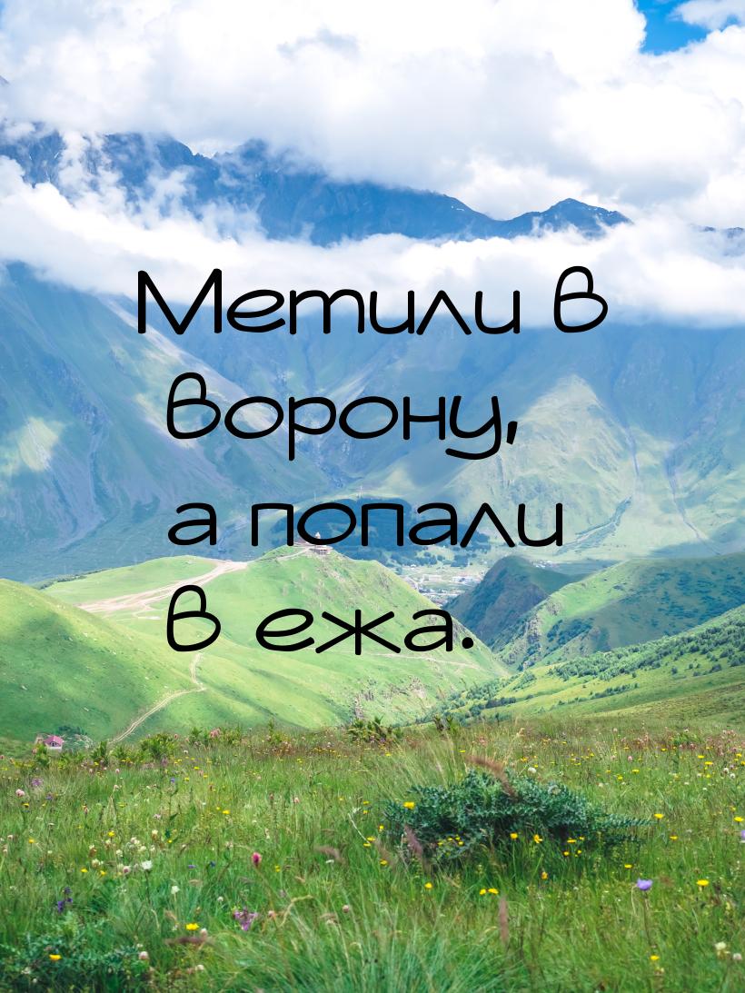 Метили в ворону, а попали в ежа.