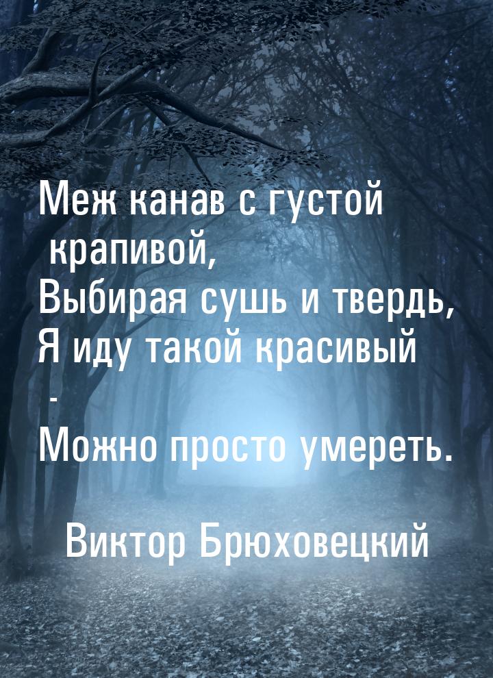 Меж канав с густой крапивой, Выбирая сушь и твердь, Я иду такой красивый - Можно просто ум