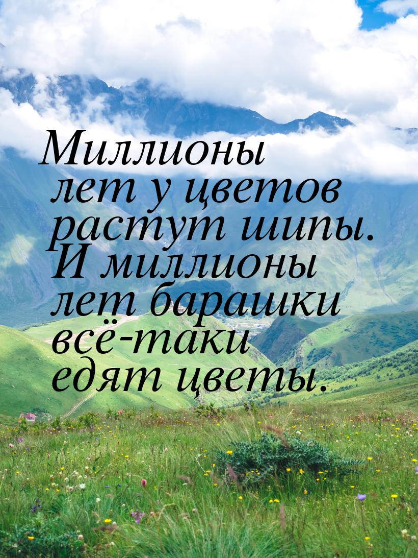 Миллионы лет у цветов растут шипы. И миллионы лет барашки всё-таки едят цветы.