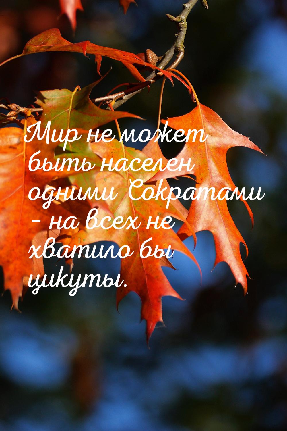 Мир не может быть населен одними Сократами – на всех не хватило бы цикуты.