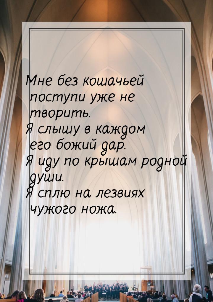 Мне без кошачьей поступи уже не творить. Я слышу в каждом его божий дар. Я иду по крышам р