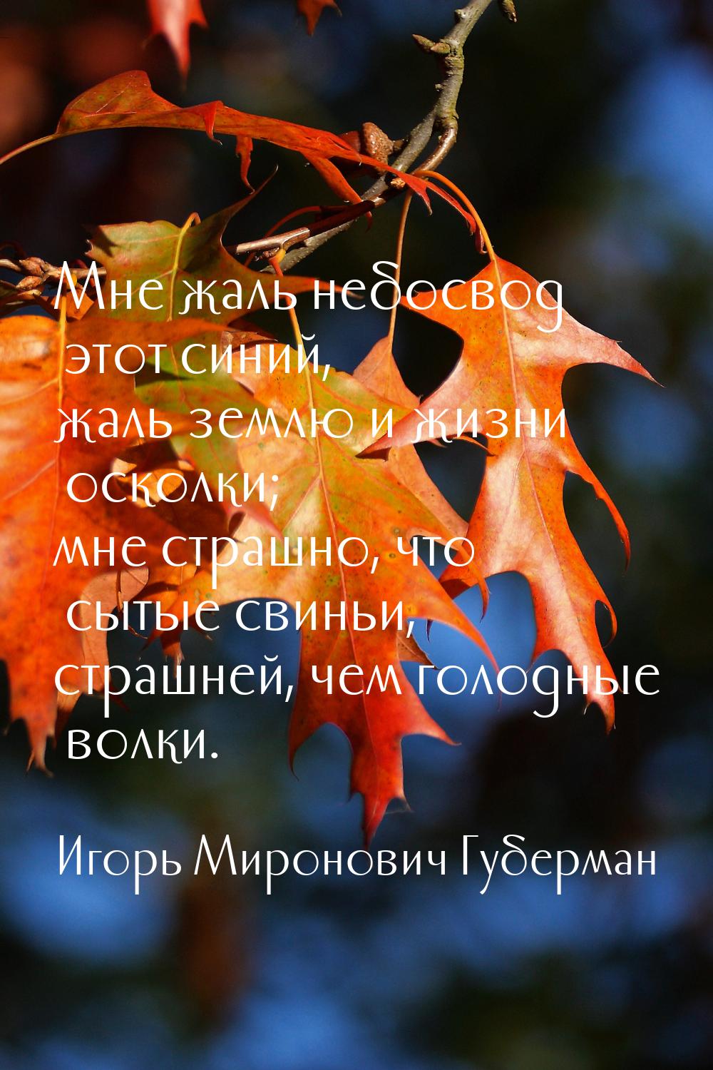 Мне жаль небосвод этот синий, жаль землю и жизни осколки; мне страшно, что сытые свиньи, с