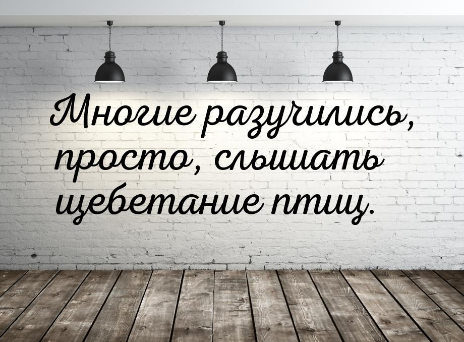 Многие разучились, просто, слышать щебетание птиц.