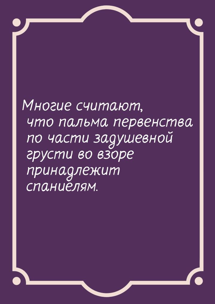 Многие считают, что пальма первенства по части задушевной грусти во взоре принадлежит спан