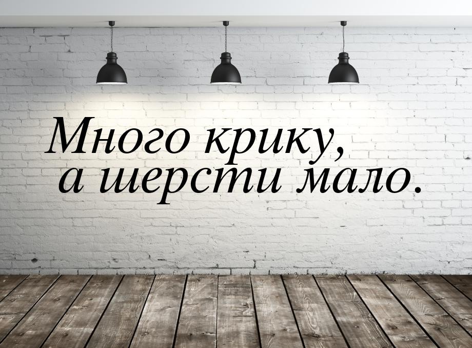 Много крику, а шерсти мало.