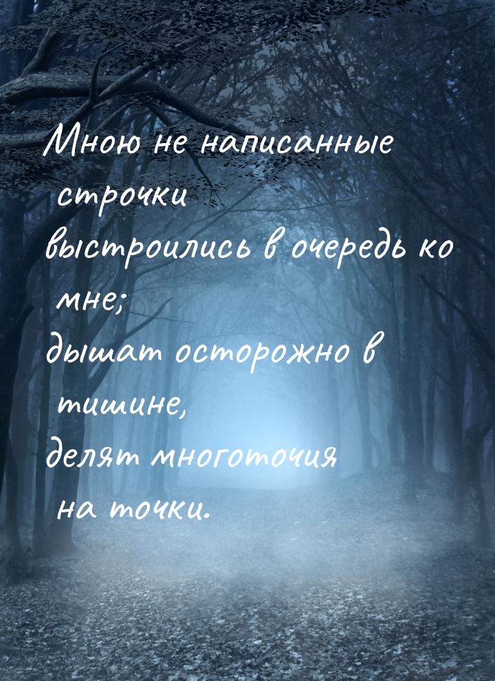 Мною не написанные строчки выстроились в очередь ко мне; дышат осторожно в тишине, делят м