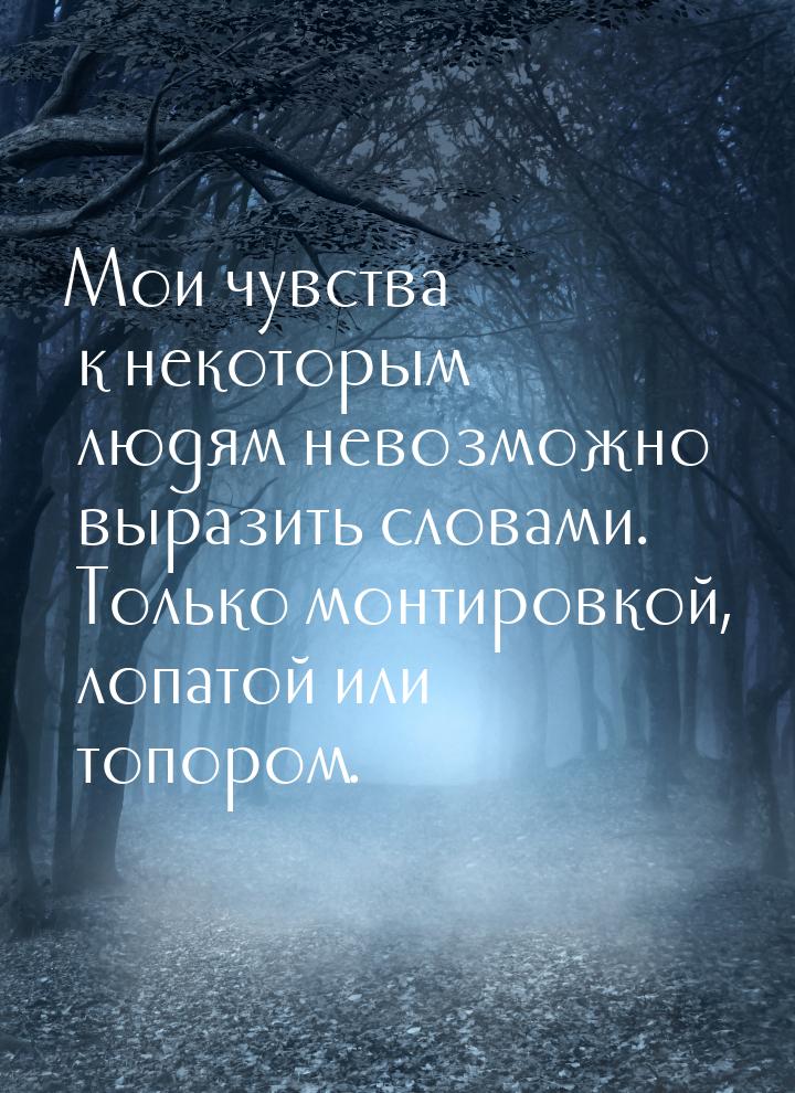 Мои чувства к некоторым людям невозможно выразить словами. Только монтировкой, лопатой или