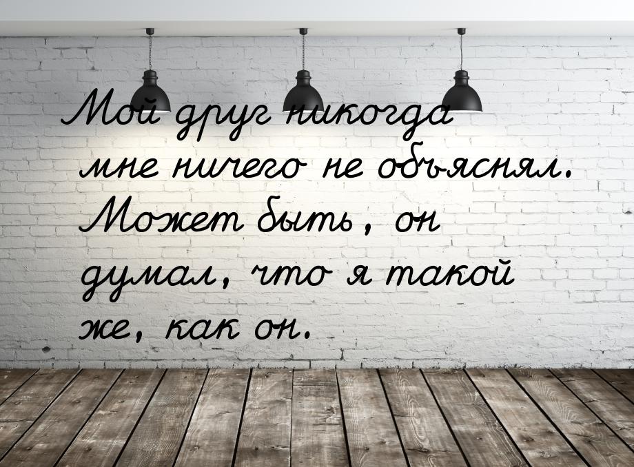 Мой друг никогда мне ничего не объяснял. Может быть, он думал, что я такой же, как он.