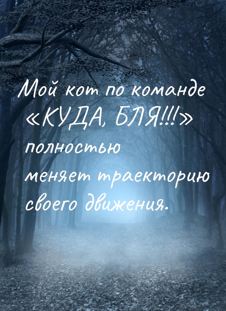 Мой кот по команде КУДА, БЛЯ!!! полностью меняет траекторию своего движения.