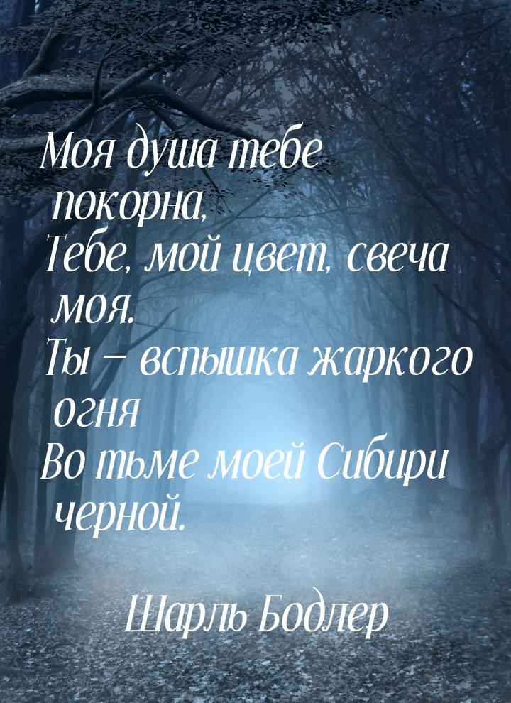 Моя душа тебе покорна, Тебе, мой цвет, свеча моя. Ты  вспышка жаркого огня Во тьме 