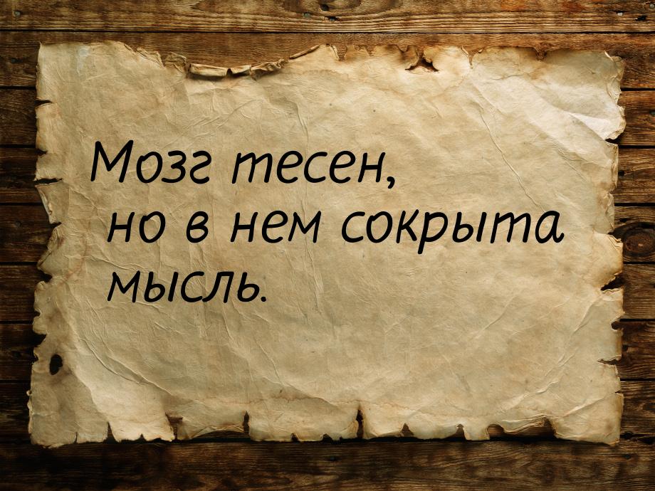 Мозг тесен, но в нем сокрыта мысль.