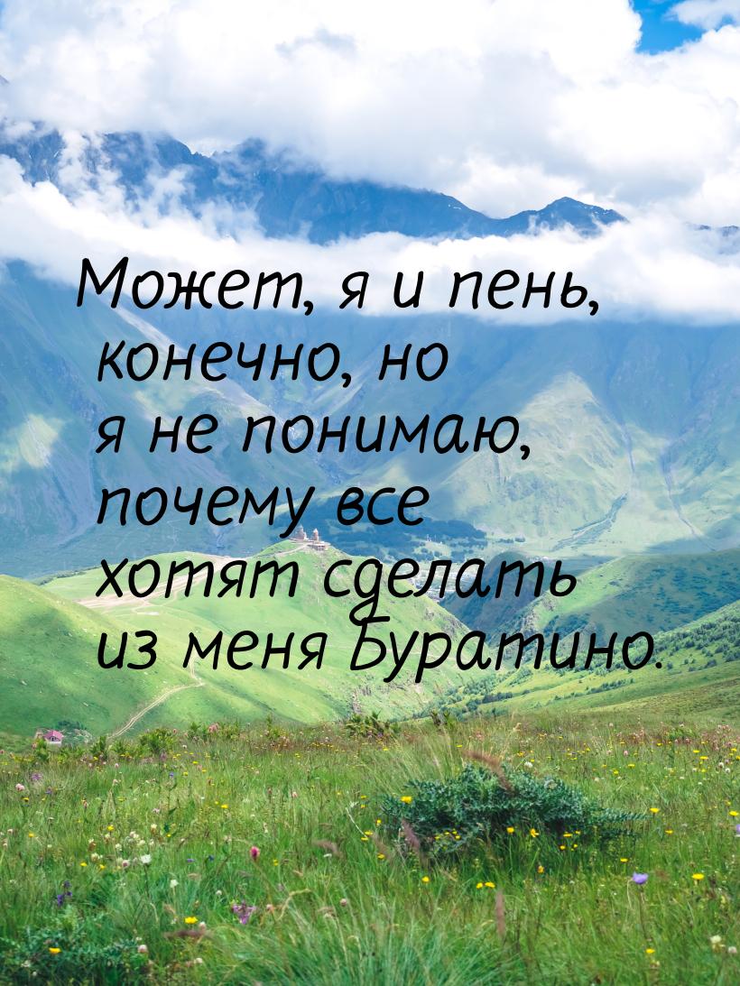 Может, я и пень, конечно, но я не понимаю, почему все хотят сделать из меня Буратино.