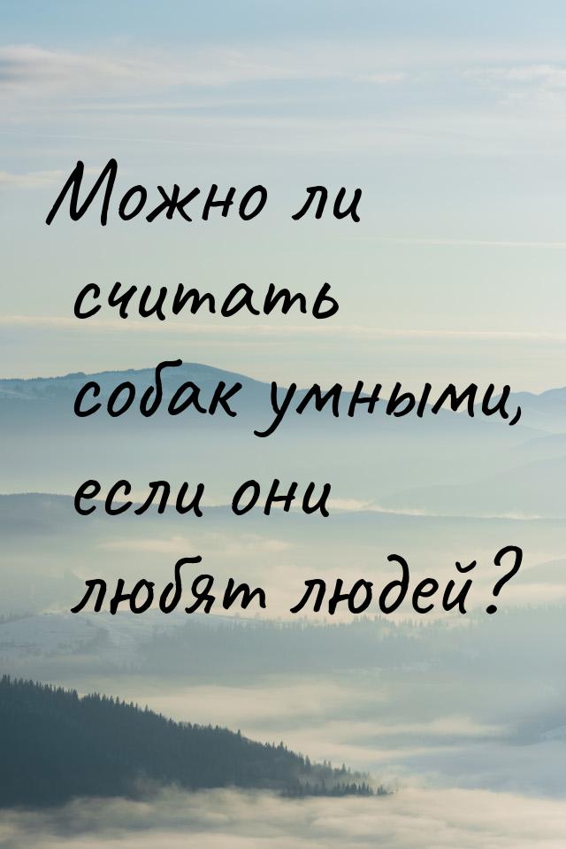 Можно ли считать собак умными, если они любят людей?