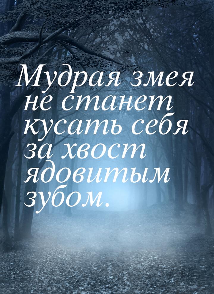 Мудрая змея не станет кусать себя за хвост ядовитым зубом.