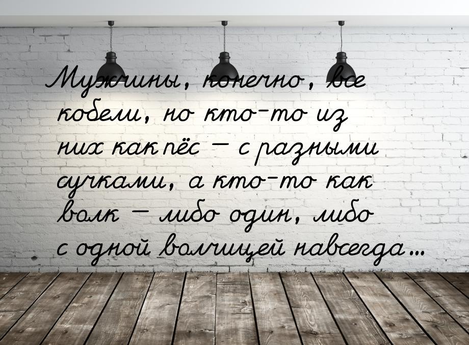 Мужчины, конечно, все кобели, но кто-то из них как пёс  с разными сучками, а кто-то